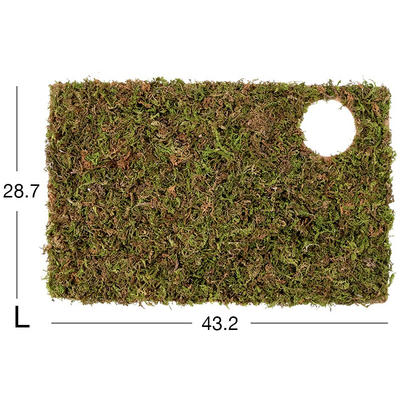 Niteangel Moss Mat For 6 Rooms Hideout Large (43.2x28.7cm) Shopee