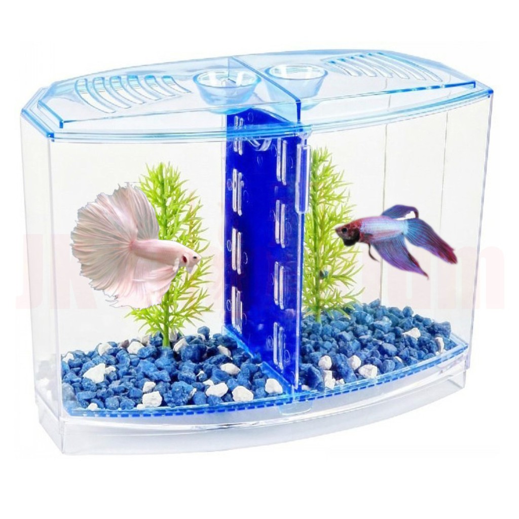 Aquarium Betta Tank House Double Plastic Akuarium Plastik Bekas