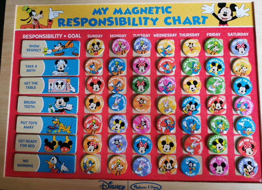 melissa and doug disney responsibility chart