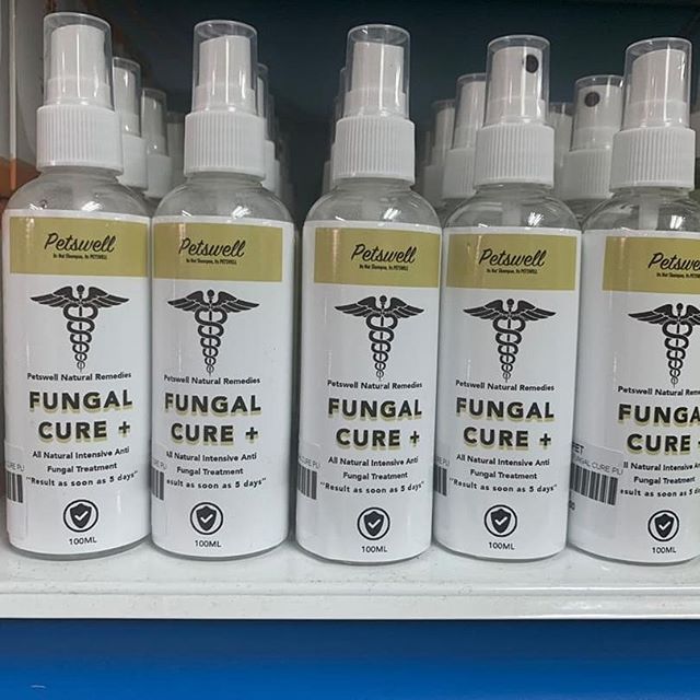 Petswell Fungal Cure Colloidal Silver Water 100ml Natural Fungal Treatment For Cat Dog Shopee Singapore