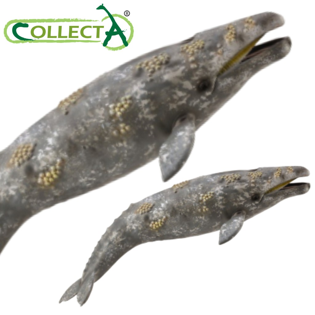 NEW CollectA 88568 Beluga Whale Model Ocean Sea 