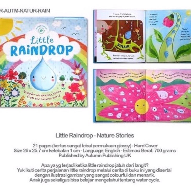 Board Book Raindrop Acorn Shopee Singapore