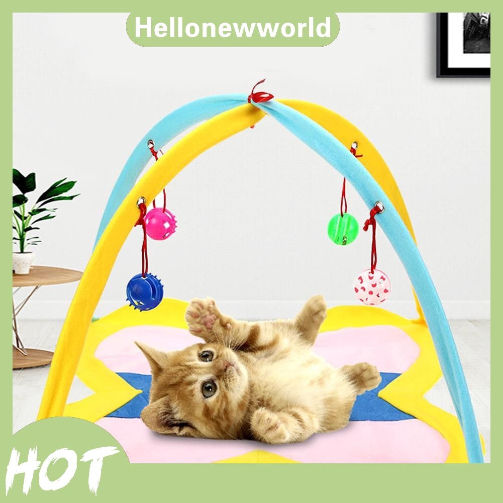 cat play tent