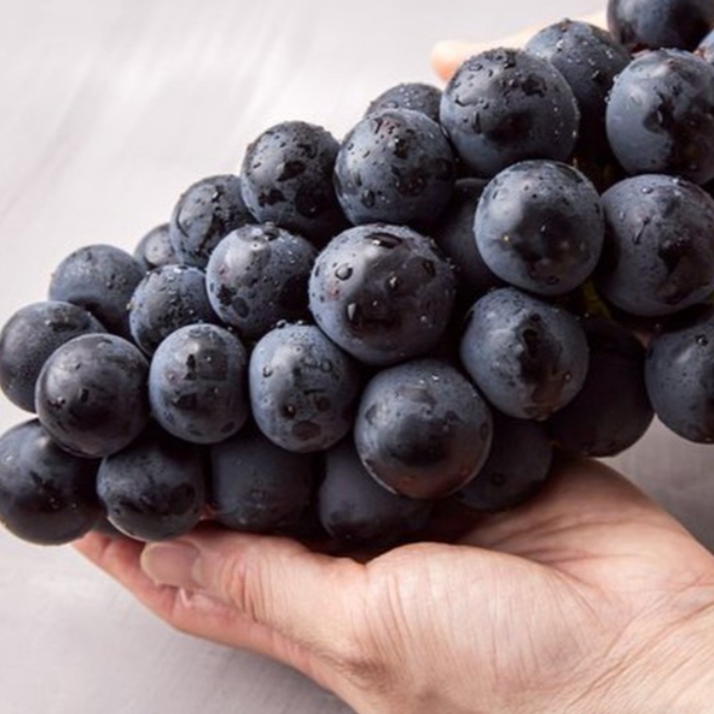 Pre Order Premium Kyoho Grapes 거봉 Shopee Singapore