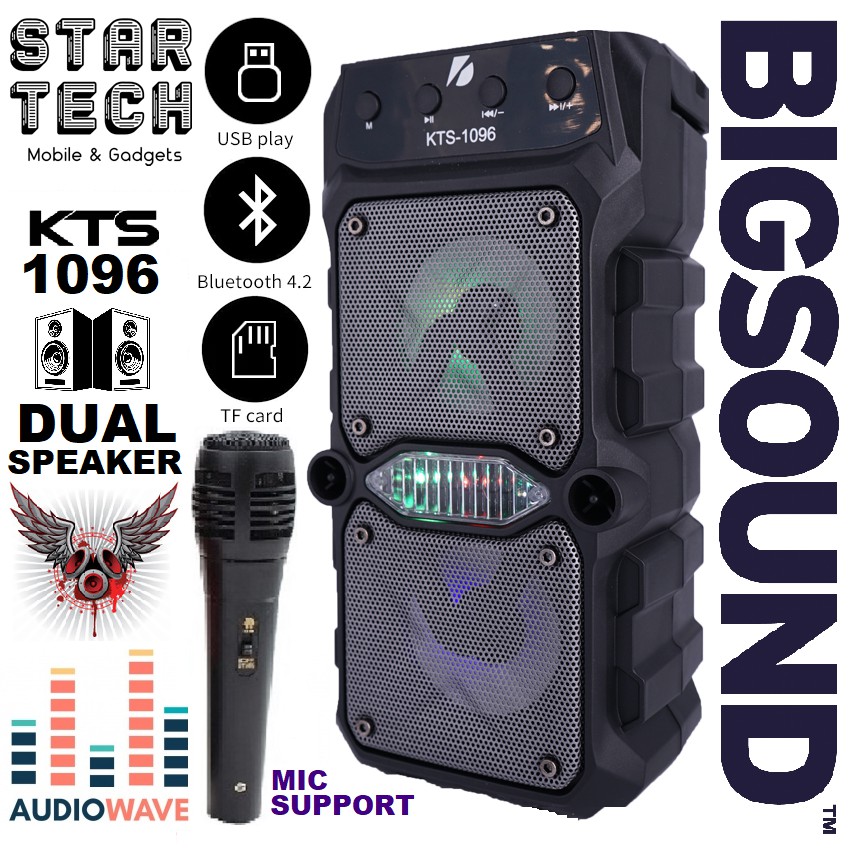 portable speaker with mic