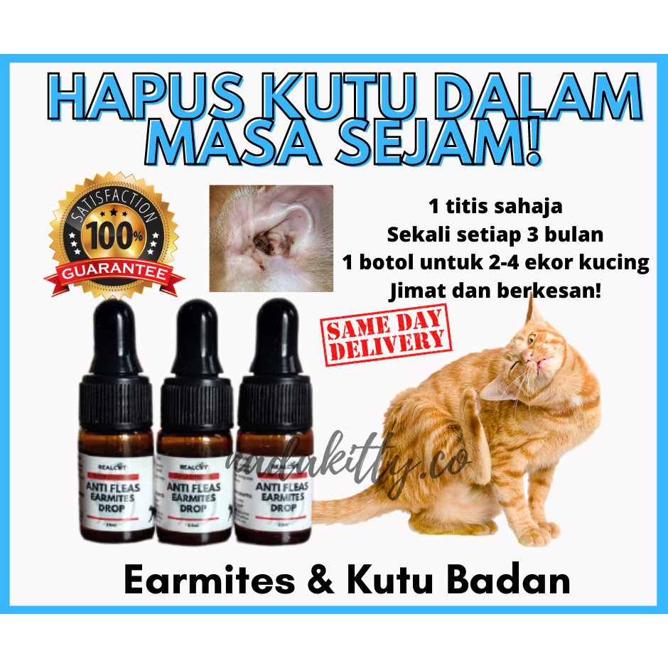 Ubat Kutu Kucing Earmites Cat 1 Botol Untuk 4 8 Ekor Kucing Shopee Singapore