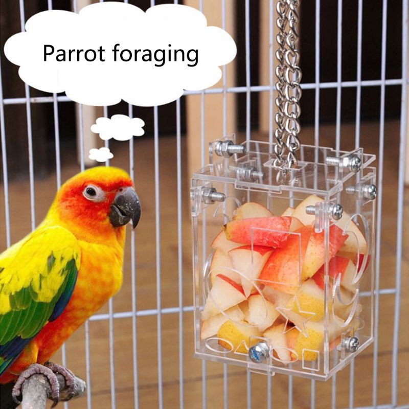 parakeet foraging toys