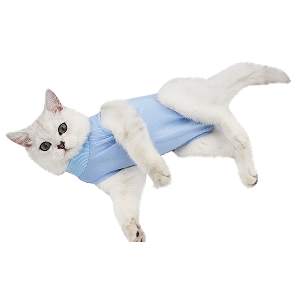 medical cat shirt