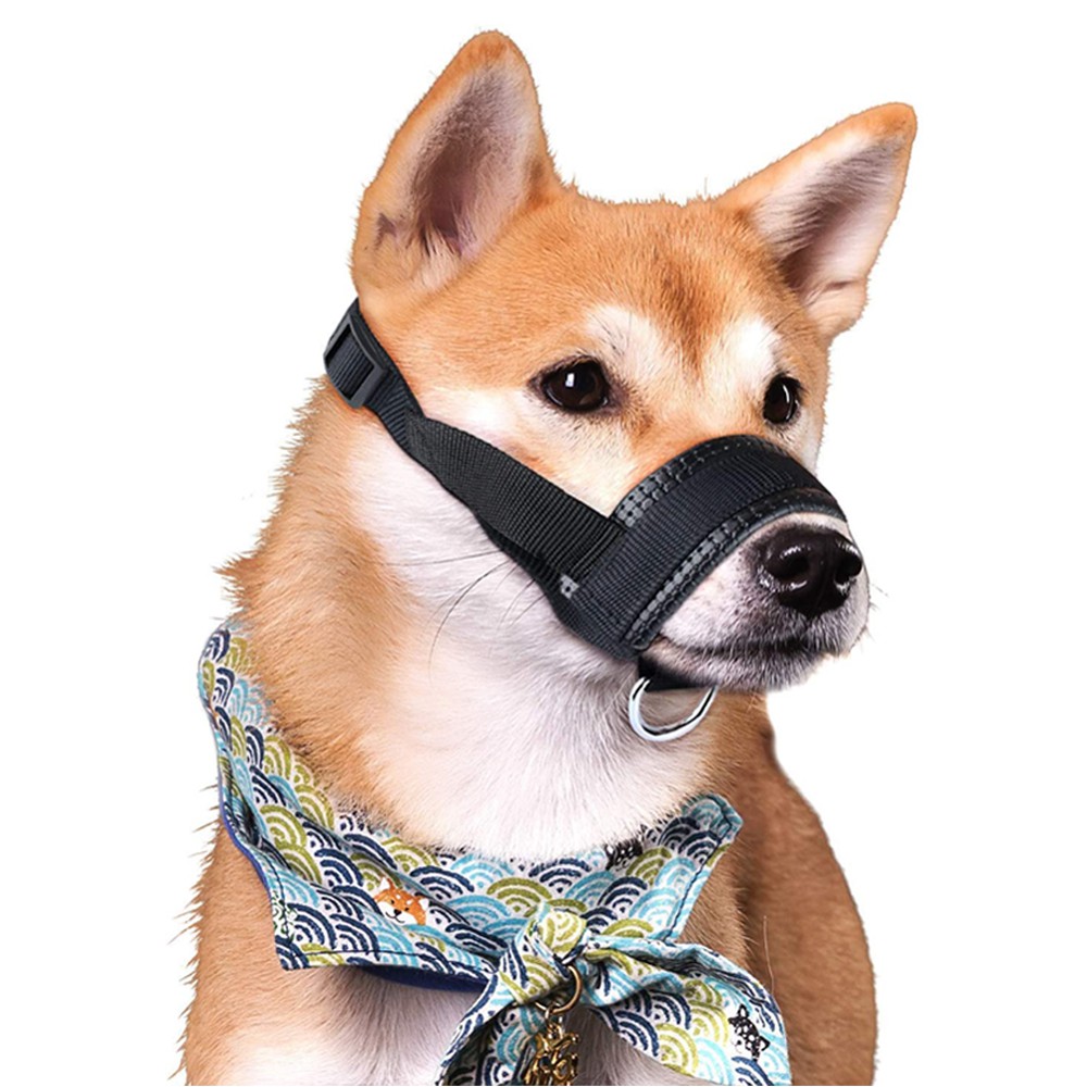 can you use a muzzle to keep a dog from barking