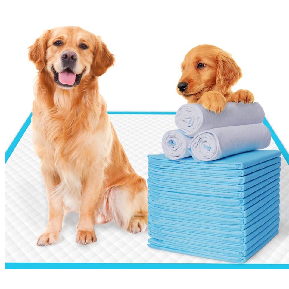 The Furniture Store Absorbent Pee Pad Dog Pee Pad Training Pads
