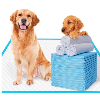 Absorbent Pee Pad Dog Pee Pad Training Pads Disposable Cat Pet Diapers Cage Mat Supply Accessories