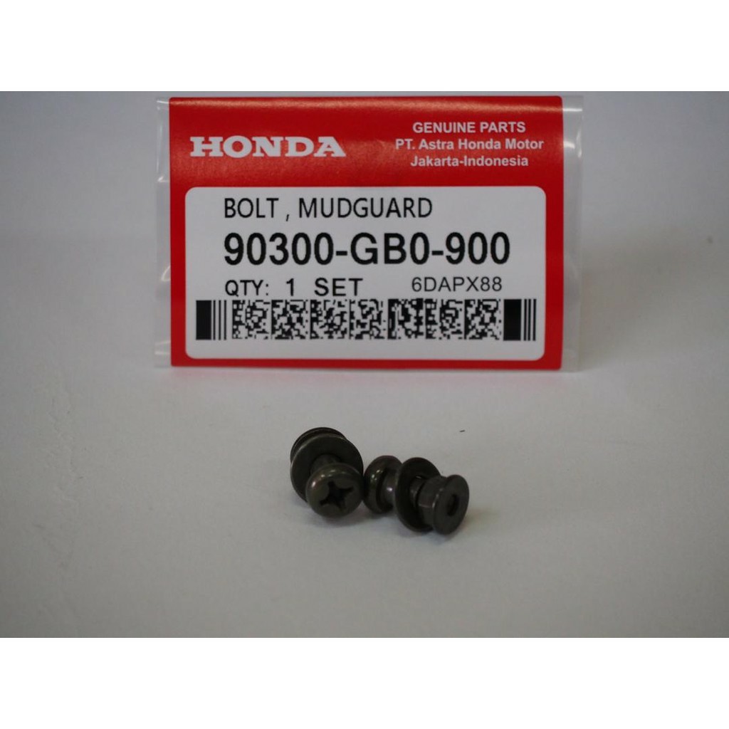 EX5 MUDGUARD BOLT SCREW SET 