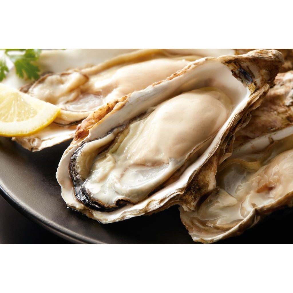 Japanese Deluxe Oysters [Sashimi Grade] Shopee Singapore