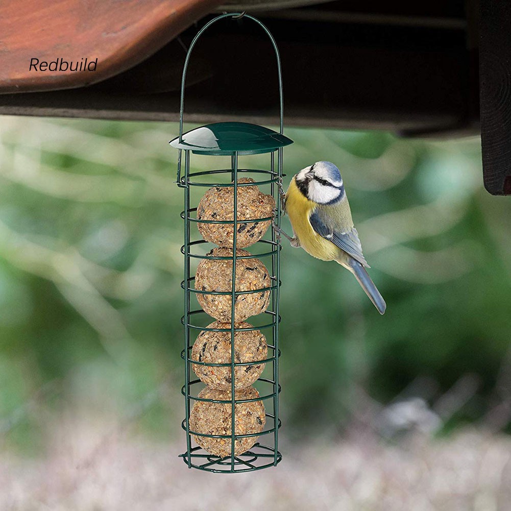 Birds Pet Supplies Magideal 4 Pcs Bird Waterer Feeders Bird Feed