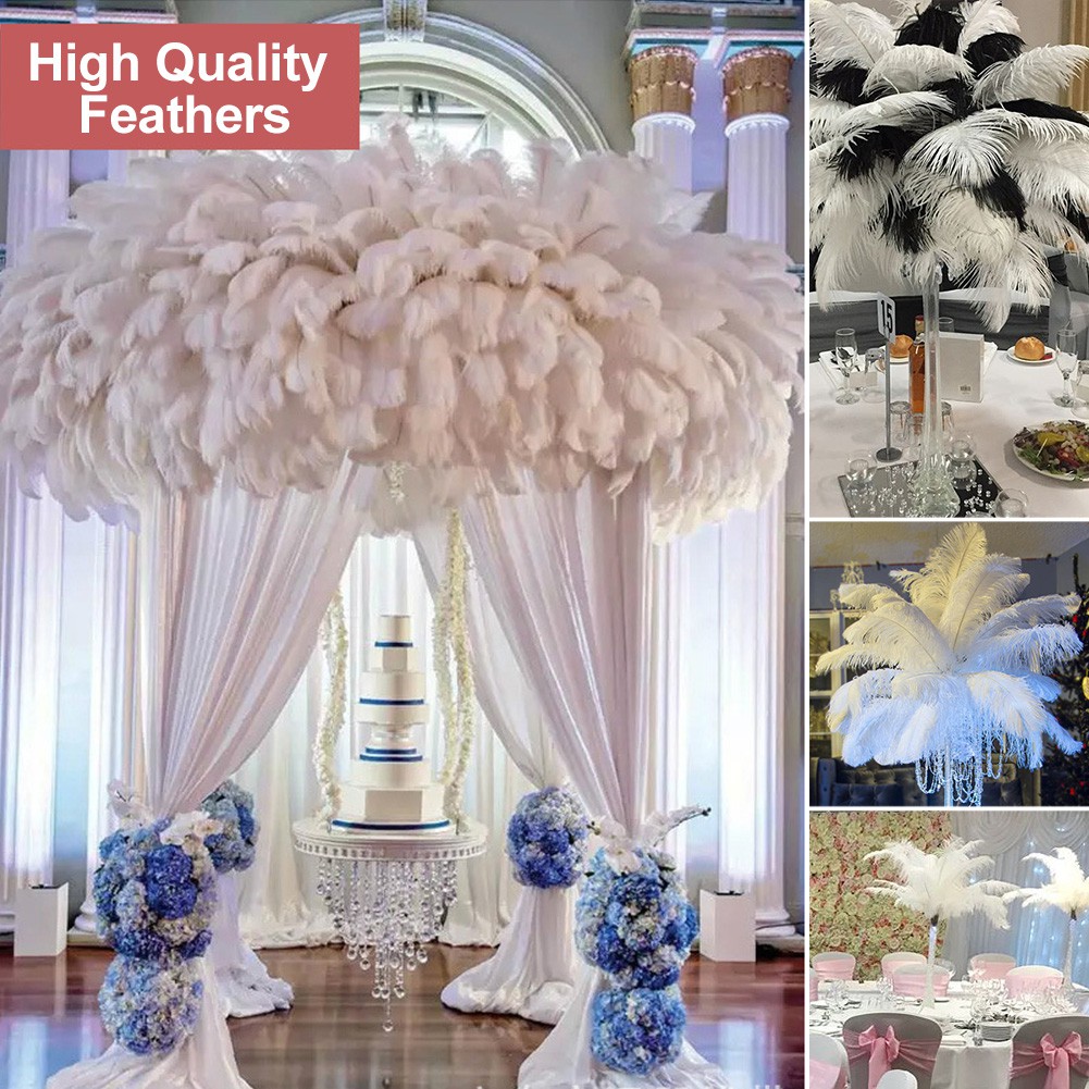 10PCS Ostrich Feather Decor Natural Large Feather Great for Birthday Parties Wedding Decorations Black 