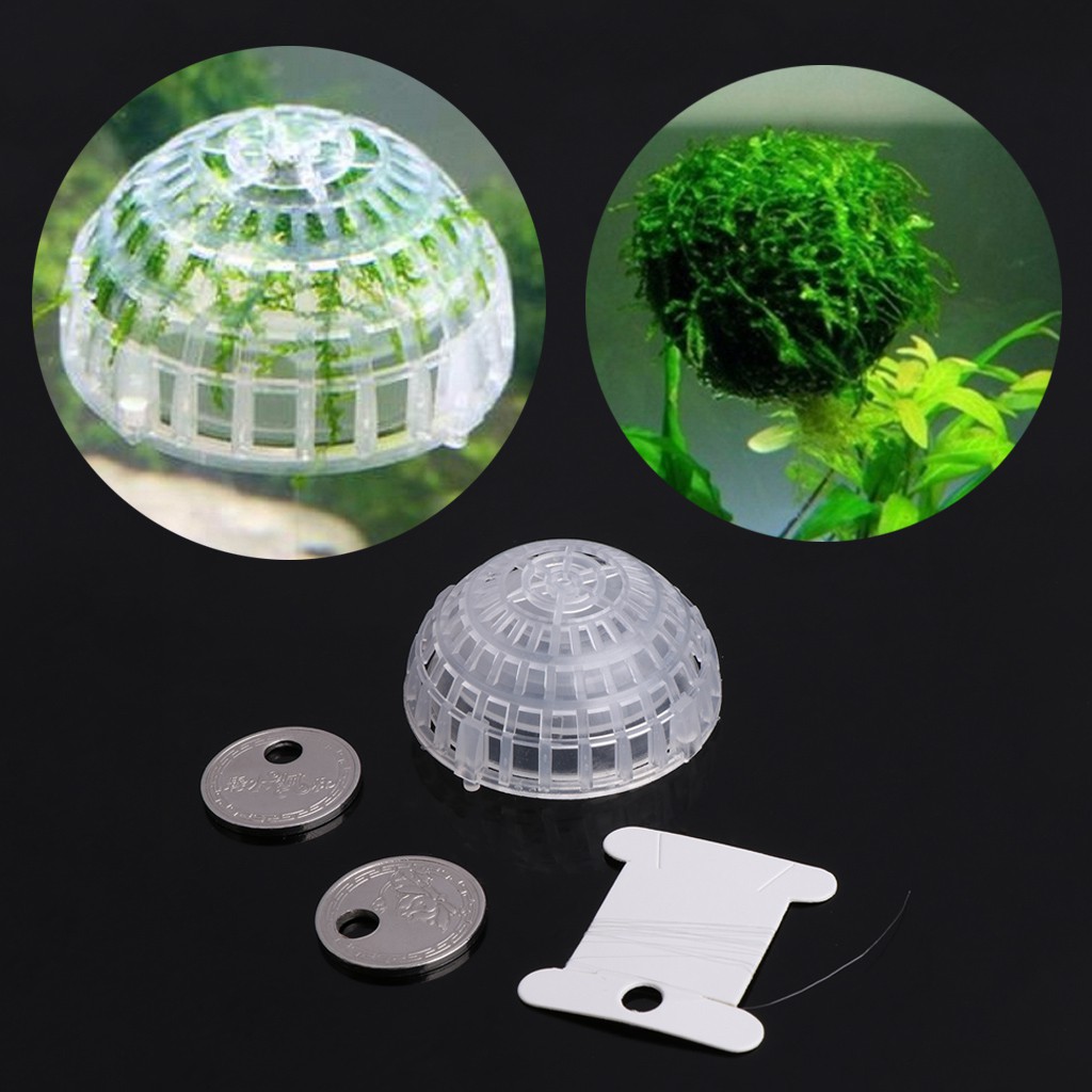 Aquarium Float Moss Ball Filter Decor Fish Tank Shrimp Green Live Plant ...