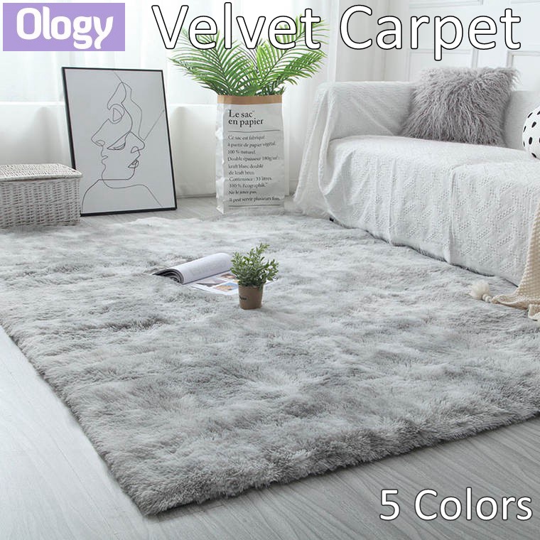 Velvet Carpet Long Fur Nordic Fluffy Rugs Cashmere Living Room Bedroom