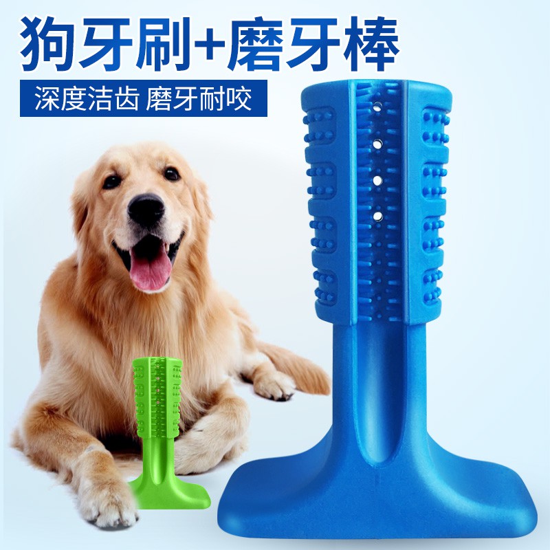 golden retriever brush