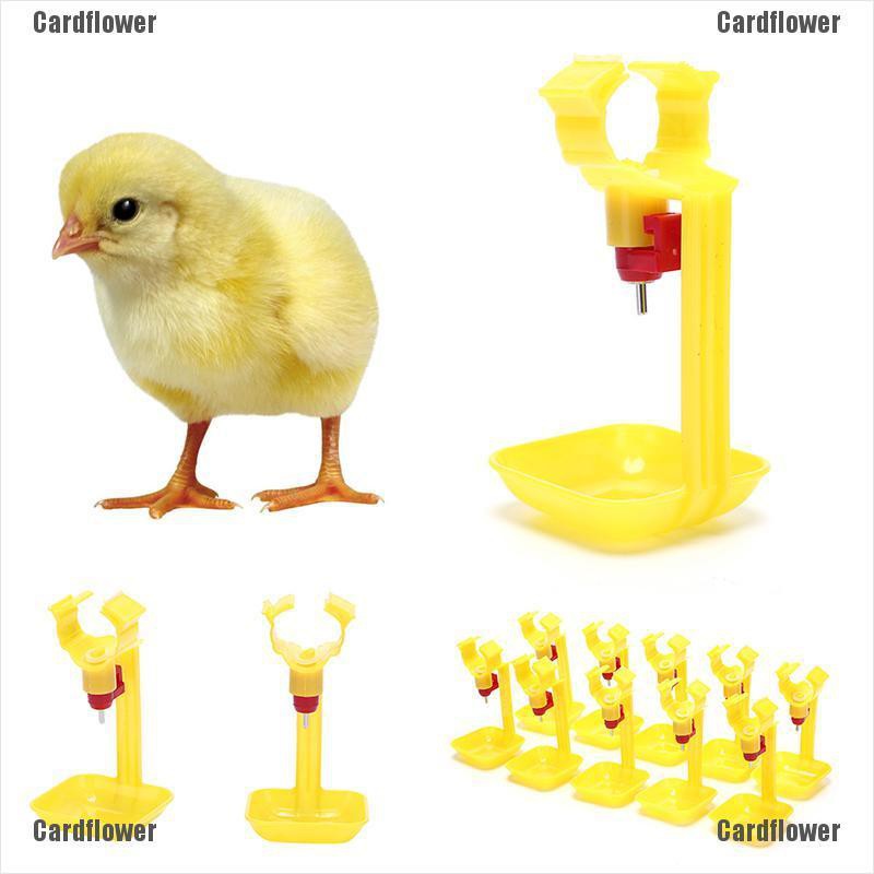 Flashquick 10pcs Poultry Chicken Hanging Duck Drinking Water