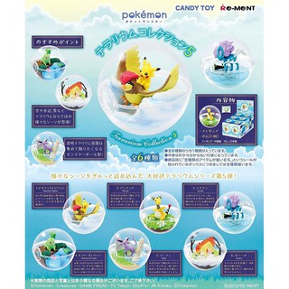 Re Ment Pokemon Terrarium Collection 8 Shopee Singapore