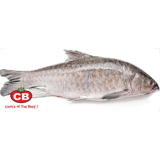 Cb Empurau Fish Gutted Shopee Singapore