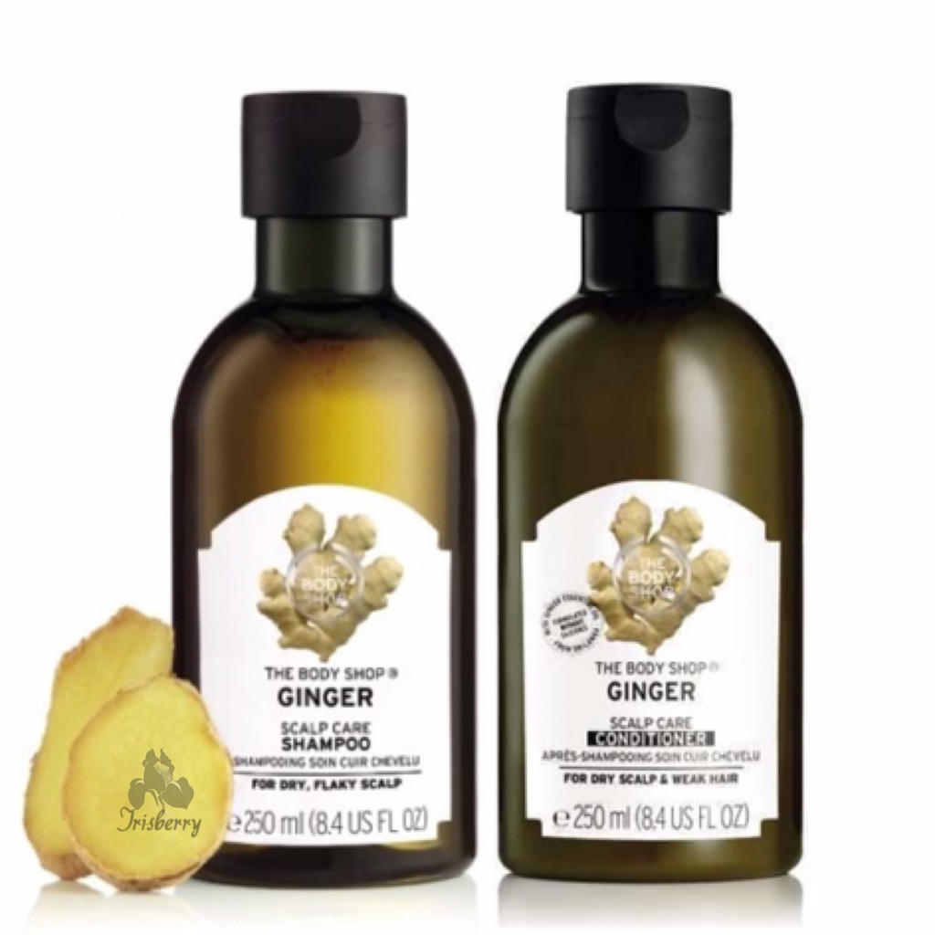 The Body Shop Ginger Scalp Care Shampoo 135 Fl Oz Shop Poin