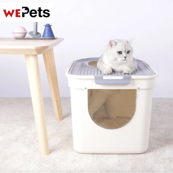 Cat litter box XL Size Shopee Singapore