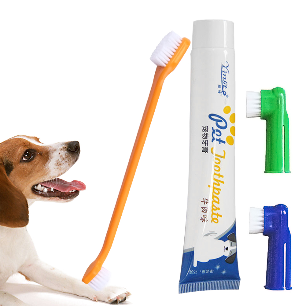loronz dog toothbrush