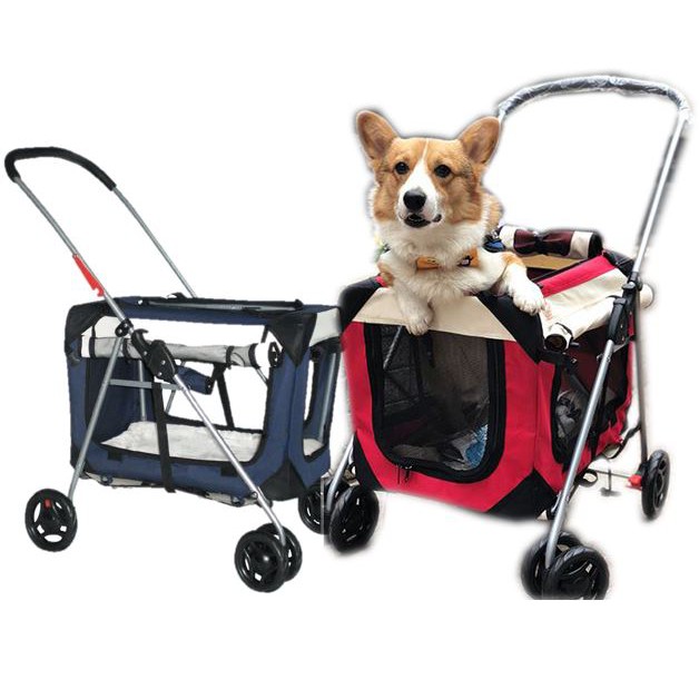 Dogs In Prams ubicaciondepersonas.cdmx.gob.mx