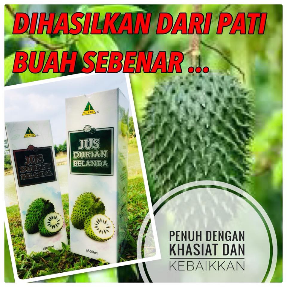 Durian belanda