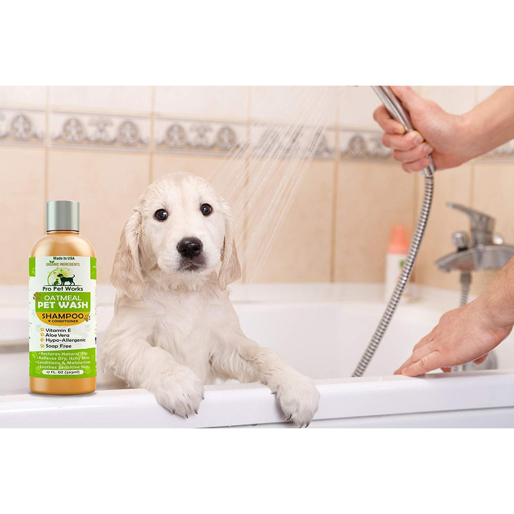 oatmeal pet wash