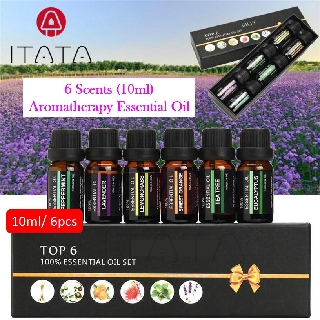 [PREMIUM ESSENTIAL] 6 Scents Top 6 100% Essential Oil Set Aromatherapy Aroma Oil Stress Relief Air Humidifier Diffuser #0