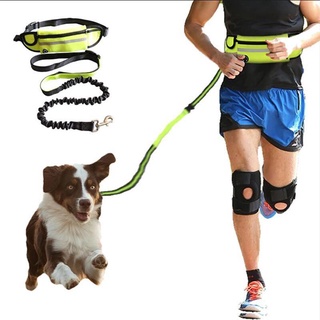 Reflective Hands Free Dog Leash Walking Dog Pet Lead Rope 3/4'' x 66'' Long 