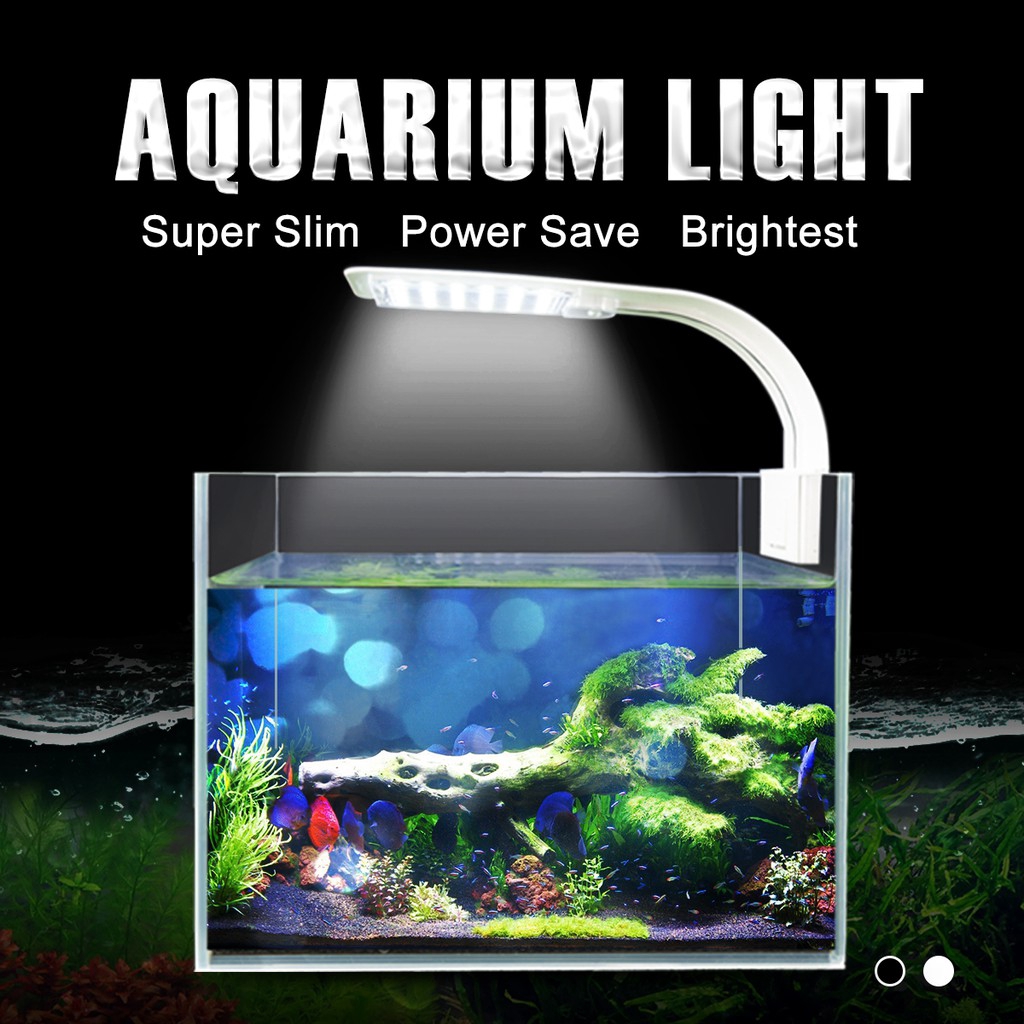 aquarium lamp