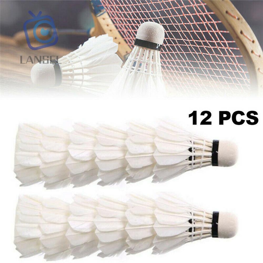 badminton rackets and birdies