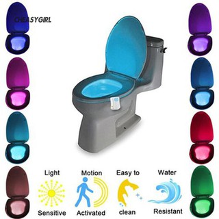 Toilet Bowl Light Energy Effective Motion Sensor 8 Colors LED Night Light Bathroom Decor