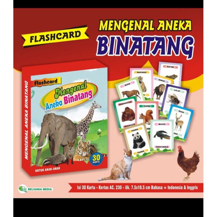 Animal Flashcards Price And Deals Nov 2021 Shopee Singapore