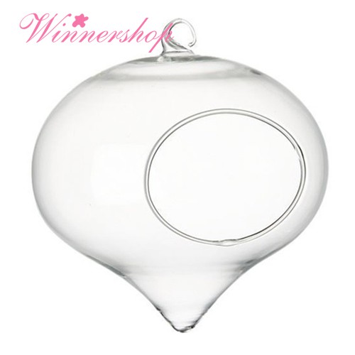 1pc Cute Home Fashion Lantern Shape Clear Glass Flower Plant