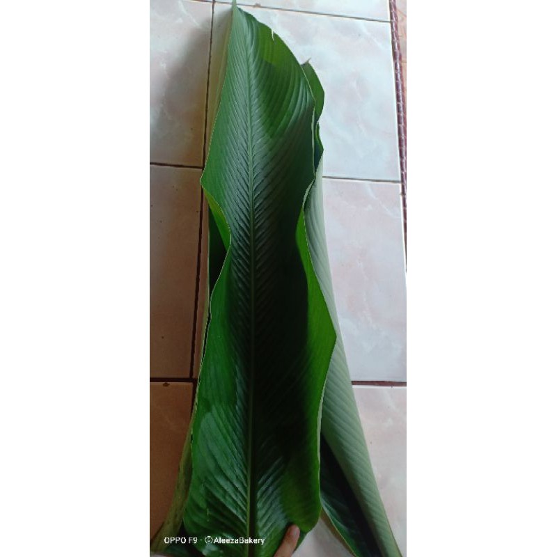 Riverstone Eco Resort Lemang Daun Lerek Daun Lerek Menggantikan Daun Pisang Facebook