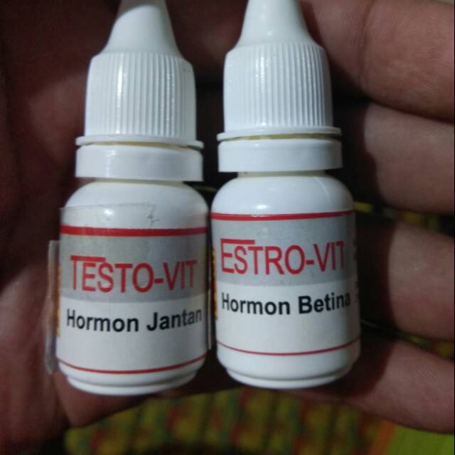 Testovit & ESTROVIT hormon Male & Female Bird 10ml Shopee Singapore