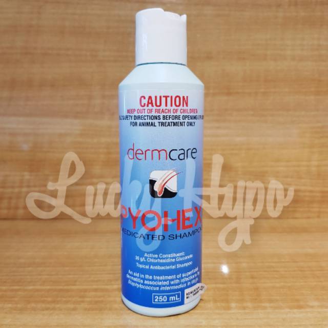 dermcare pyohex medicated shampoo