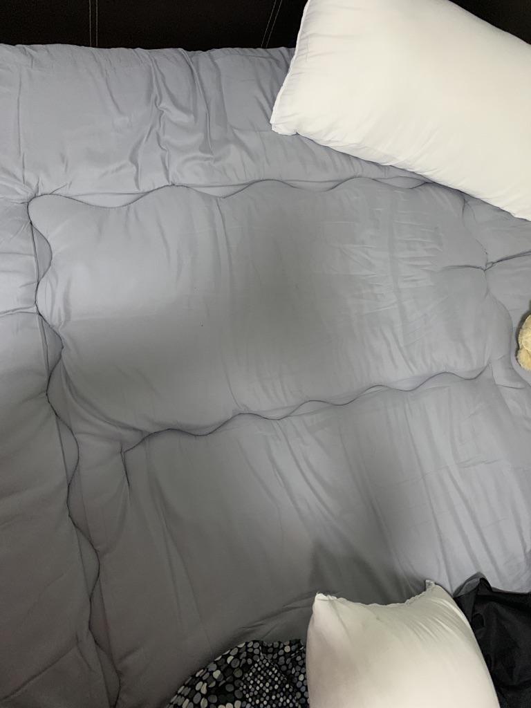 Japanese Futon Tatami Mattress Single and Queen size Shopee Singapore