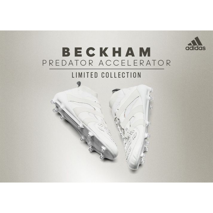 predator accelerator beckham