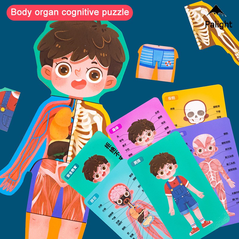 Pa Wooden Puzzles For Toddlers Kids Matching Game For Learning Human Body Parts Anatomy Skeleton Educational Preschool Toy Shopee Singapore