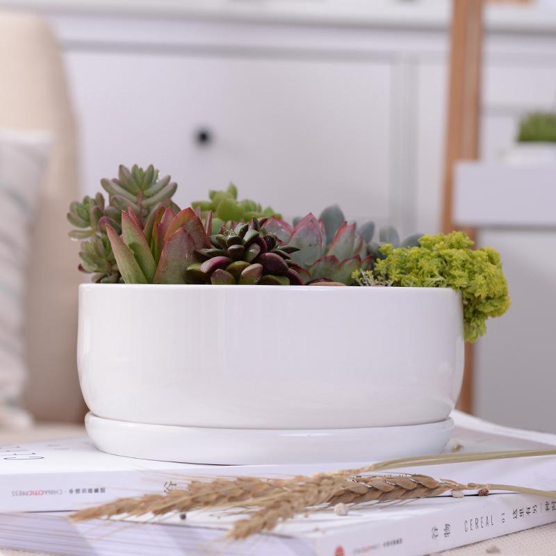 White Simple Creative Mini Succulent Ceramic  Round Pots  