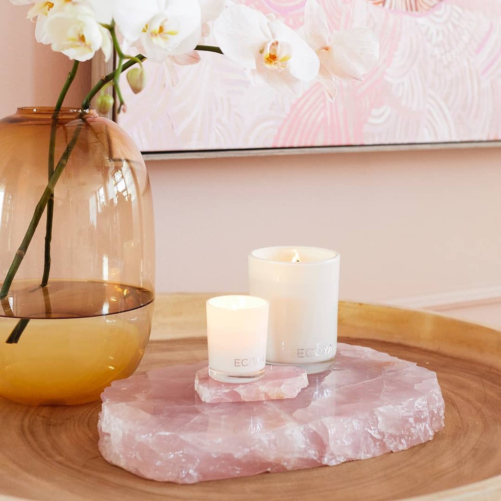 Ecoya Official Store, Online Shop Aug 2022 Shopee Singapore