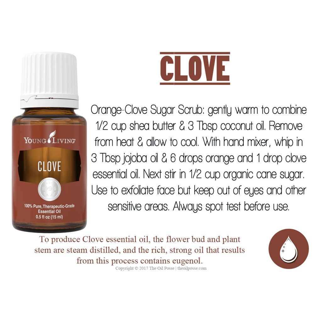Young Living Clove Essential Oil 15ml Shopee Singapore
