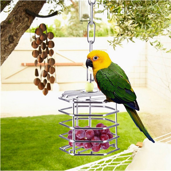 Foraging Toys Birds Wow Blog