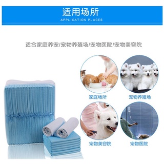 【IN Stock】Absorbent Pee Pad Dog Pee Pad Training Pads Disposable Cat Pet Diapers Cage Mat Supply Accessories #7