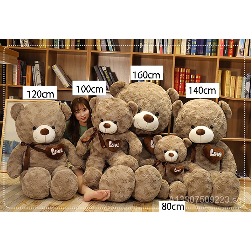 Big Bear Price And Deals Apr 22 Shopee Singapore